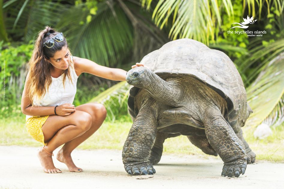 Exciting Things To Do While In Seychelles